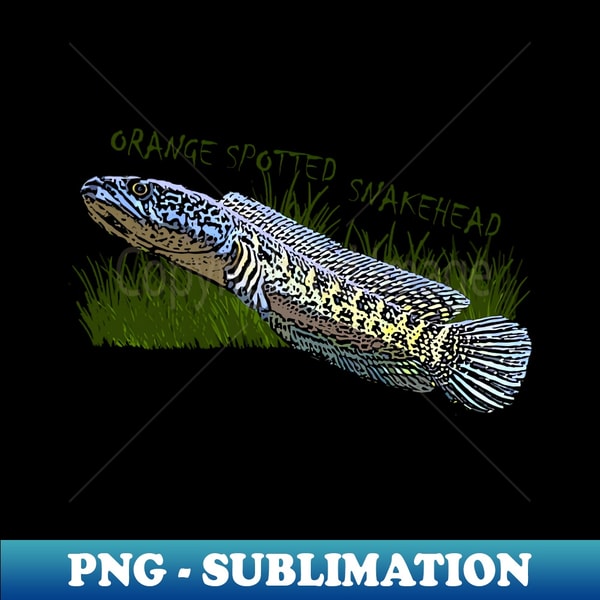 ZA-47366_Snakehead Fish 3805.jpg