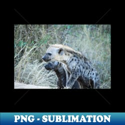 two curious hyena cubs - elegant sublimation png download - create with confidence