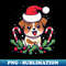 CP-10318_Cute dog Christmas puppy in Santa hat 3339.jpg