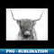 CU-36591_Scottish Highland Cattle 7512.jpg
