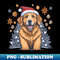 DA-634_A Cute Golden Retriever Wearing a Christmas Hat Christmas Dog 7511.jpg