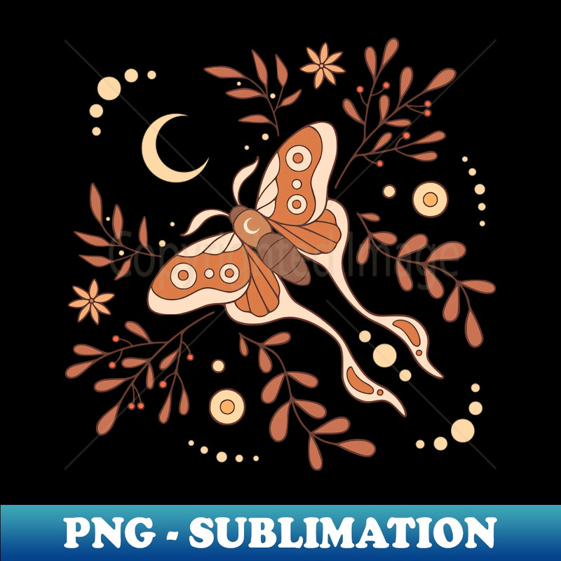 DD-11441_Decorative moth 2819.jpg