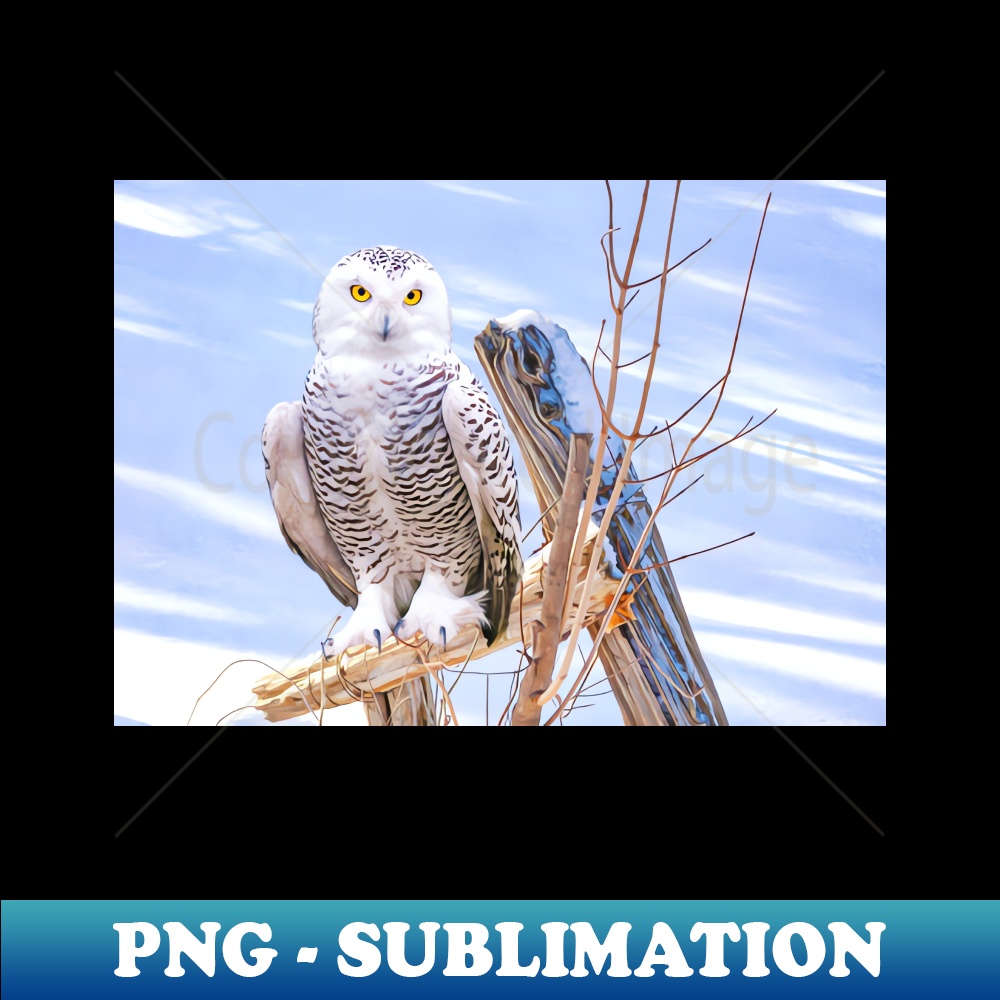 DG-38013_Snowy Owl in Winter 7360.jpg