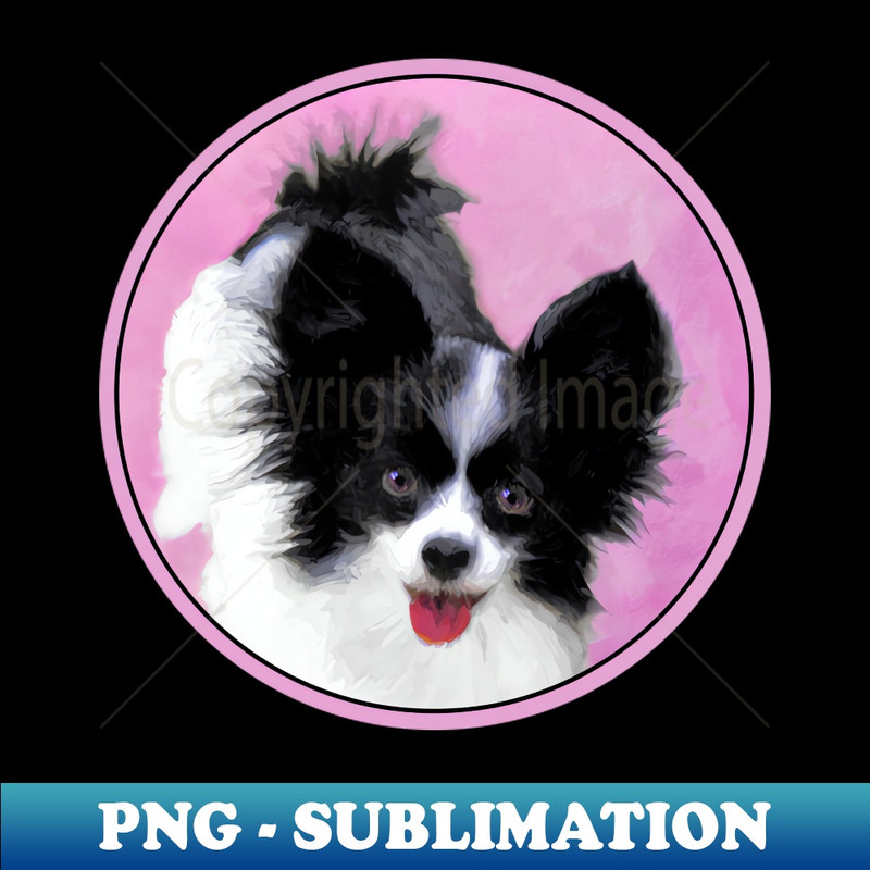 DI-31384_Papillon White and Black 3672.jpg