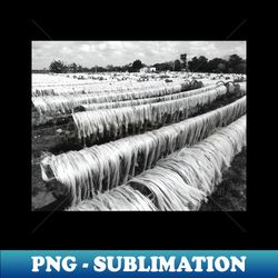vintage photo of drying sisal - Special Edition Sublimation PNG File - Defying the Norms