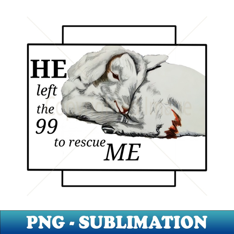 FP-3245_Baby lamb -rescue cross 1049.jpg