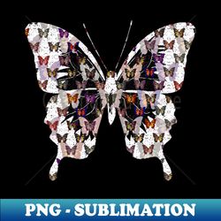 Butterflies Variation 03 - PNG Transparent Sublimation File - Bring Your Designs to Life
