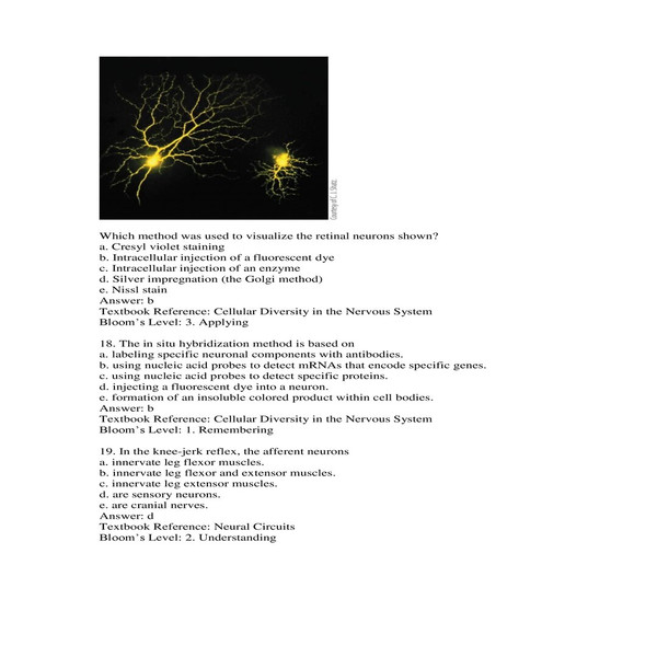 Neuroscience 6th edition by purves Test Bank-1-10_00007.jpg