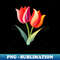 WN-42834_Tulip flower 8757.jpg