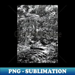 Vintage photo of Amazon Rainforest - Exclusive PNG Sublimation Download - Stunning Sublimation Graphics