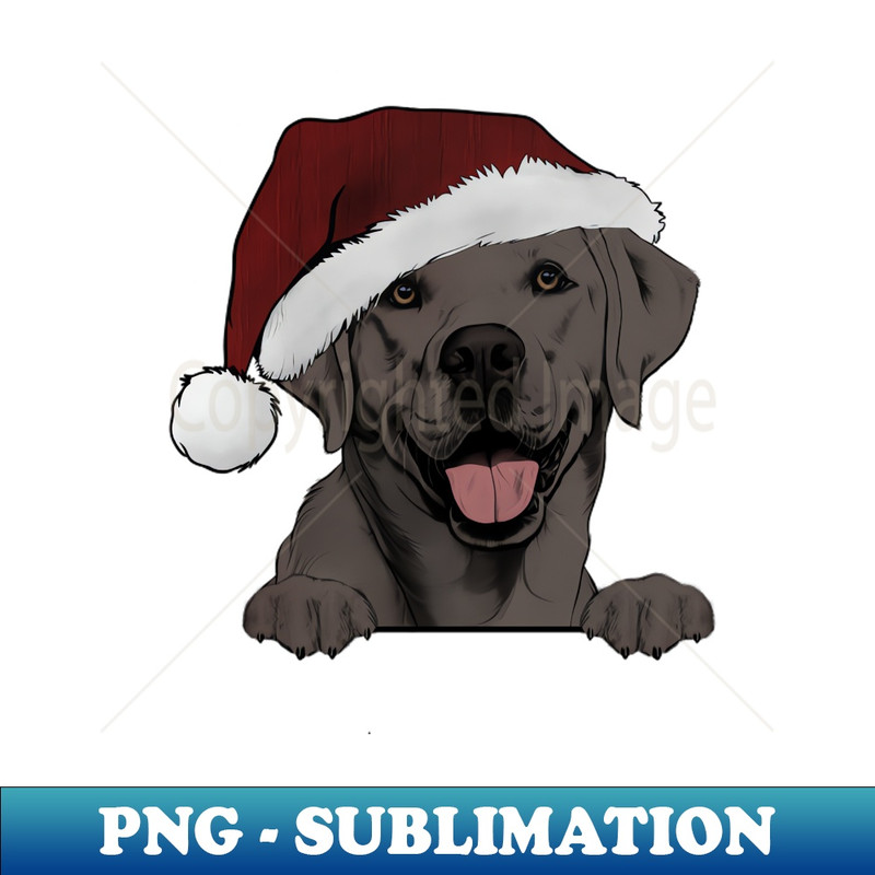 YC-7298_Charcoal Lab with Santa hat 6184.jpg