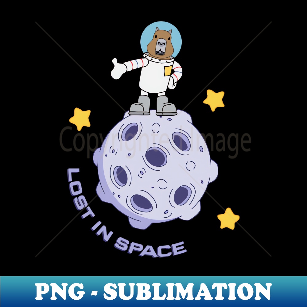 YS-25948_Lost in Space 8860.jpg