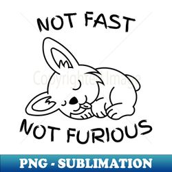 Not Fast Not Furious Bunny - Aesthetic Sublimation Digital File - Bold & Eye-catching