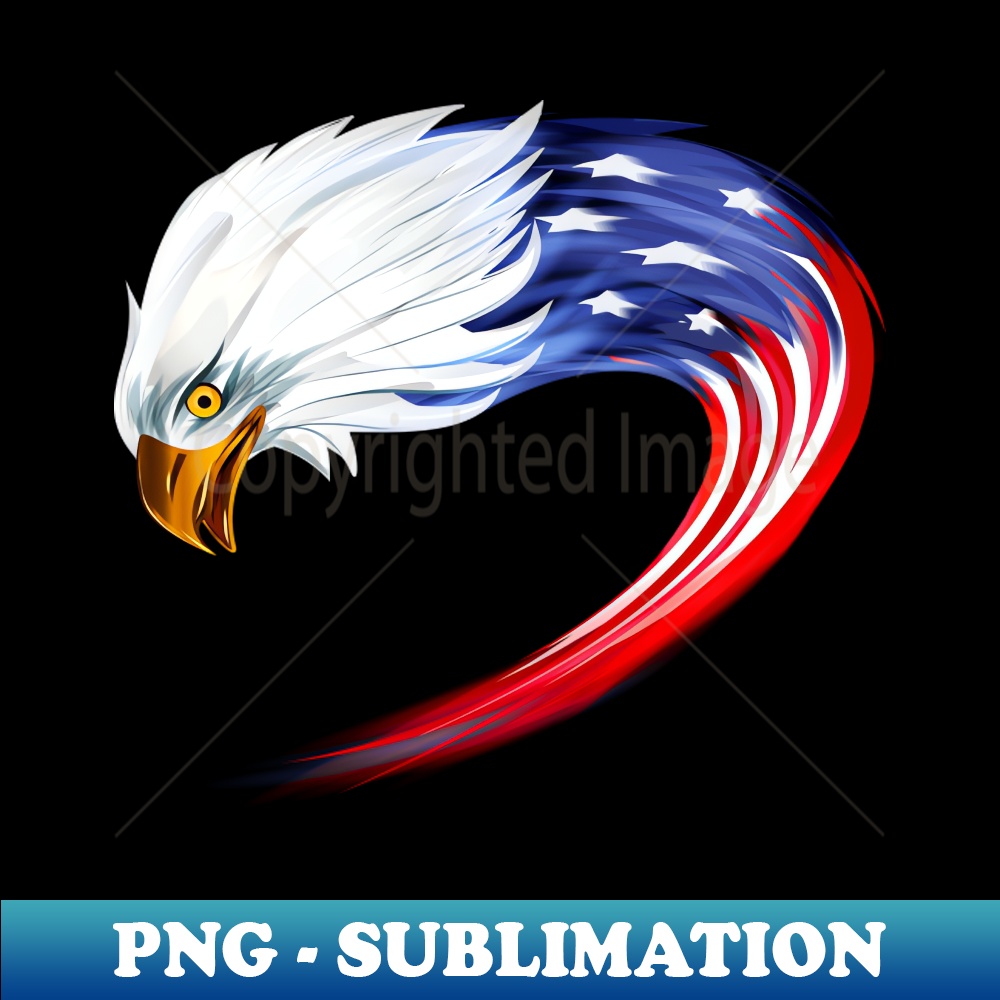 ZS-1909_American Flag Art 4294.jpg