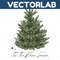 MR-vectorlab-0711231057-26112023163013.jpeg
