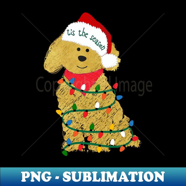 CF-14970_Goldendoodle Decorated with Christmas Lights 6505.jpg
