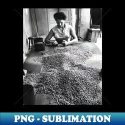 Vintage Photo of Woman Sorting Coffee - PNG Transparent Sublimation Design - Bold & Eye-catching