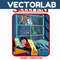 MR-vectorlab-0811231048-26112023191635.jpeg