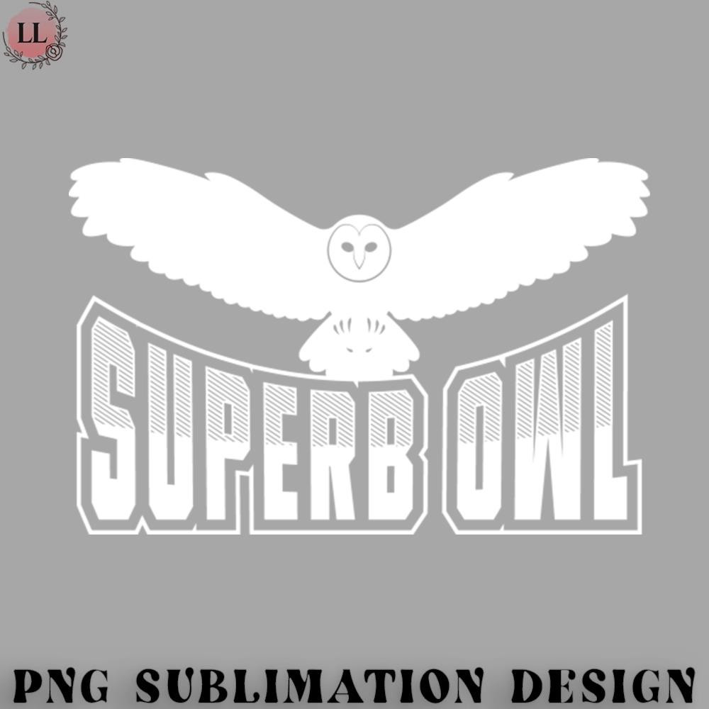 LB070723082532-Football PNG Superb Owl.jpg
