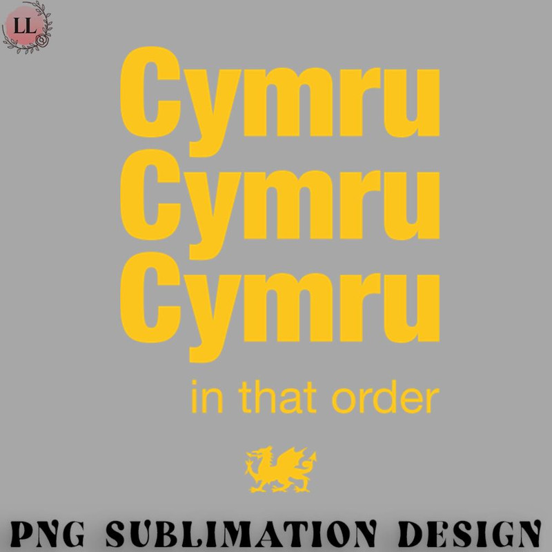 OT070723081413-Football PNG Cymru in that order - Wales football Euro 2020.jpg