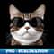 IJ-9269_Funny Cat Cat With Sunglass 4183.jpg