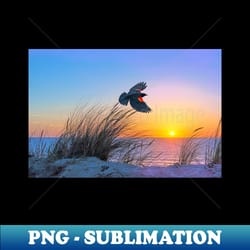 red winged blackbird at sunset - instant png sublimation download - perfect for personalization