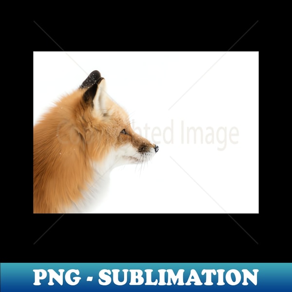 Red Fox profile - Algonquin Park - PNG Transparent Digital D - Inspire ...