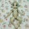 alien_doll_194427.jpg