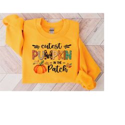 cutest pumpkin in the patch sweatshirt, cutest pumpkin shirt, thanksgiving shirt, halloween sweatshirt, cute fall shirt,