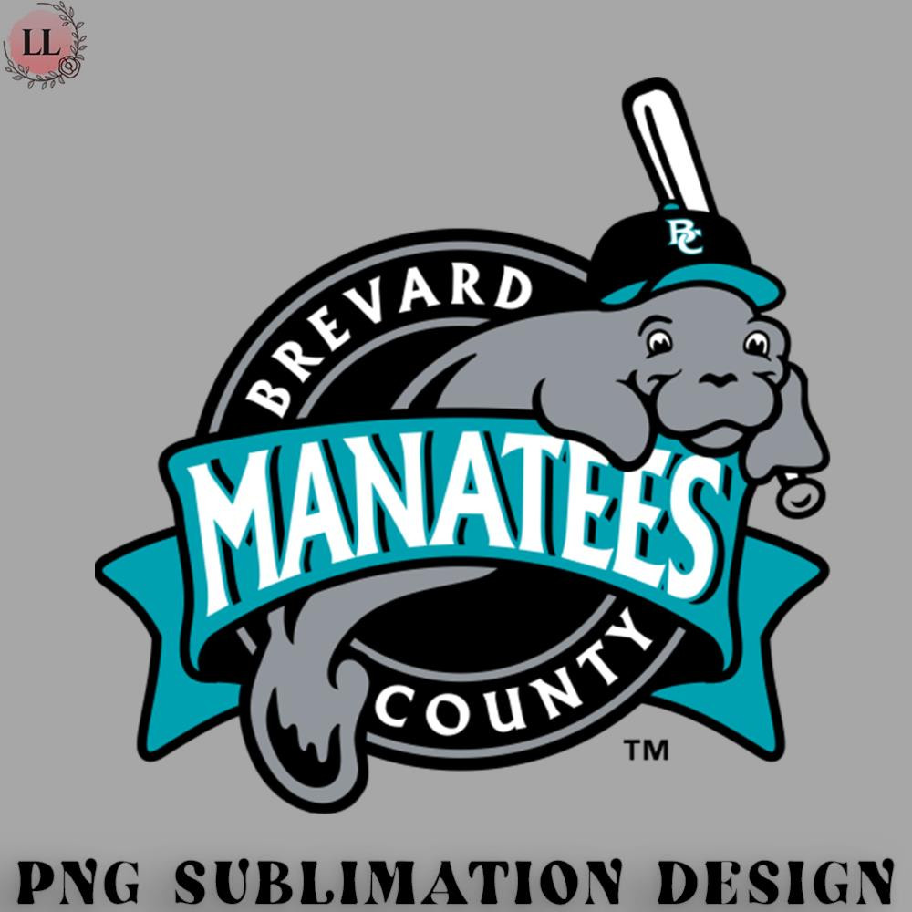 BS0707231453197-Basketball PNG Brevard County Manatees.jpg