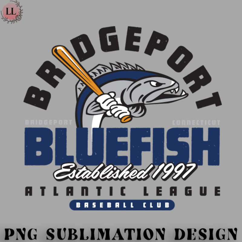 BS0707231453203-Basketball PNG Bridgeport Bluefish.jpg