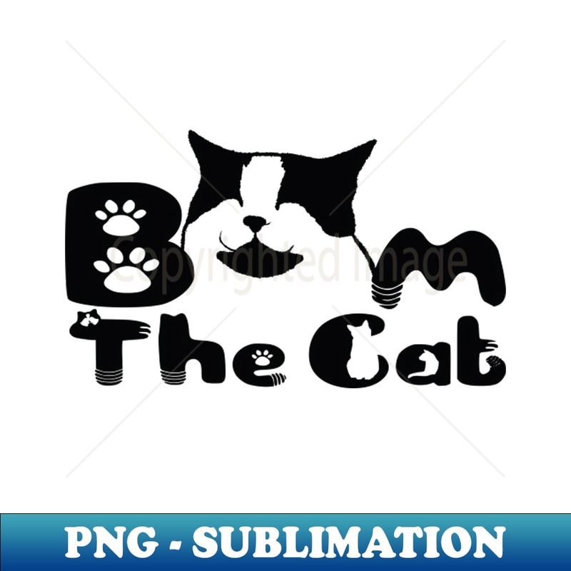 IC-6798_Boom The Cat - A sleepy Cat 02 5632.jpg