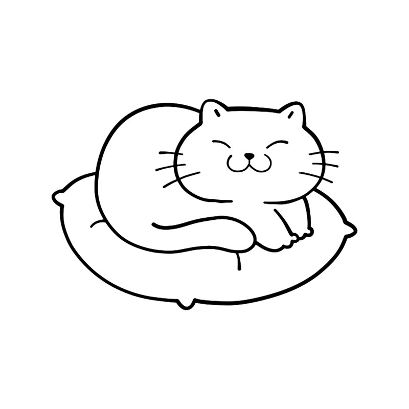 Cat Miaw - Cute Cat For Cat Lovers X.png