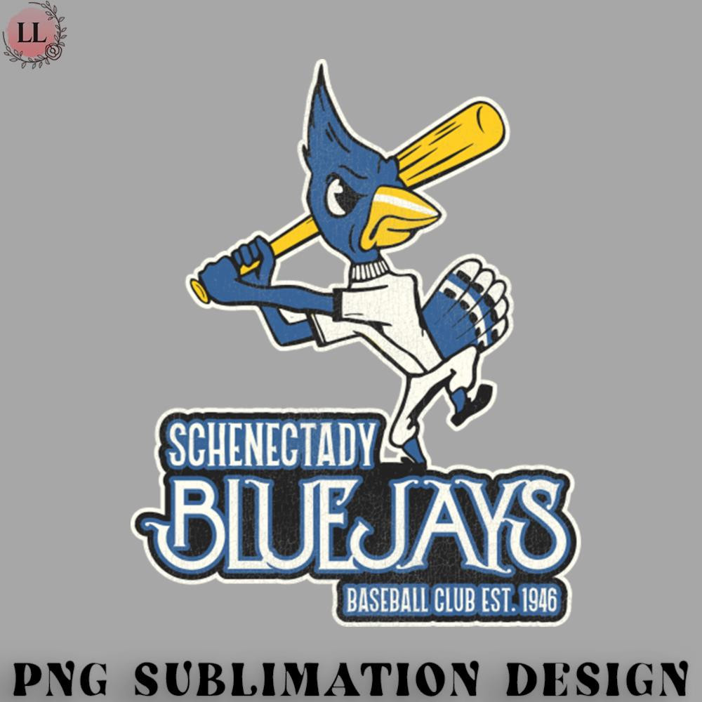 LL0707231454107-Basketball PNG Defunct Schenectady Bluejays Baseball Team.jpg
