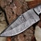 Carbon Steel knife