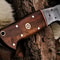 Carbon Steel knife