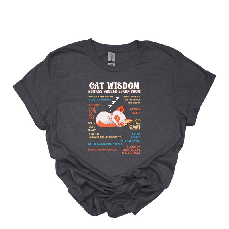Cat Wisdom Shirt, Cat T-Shirt, Cat Lover Shirts, Pet Lover Shirt, Cat Owner Shirt, Gifts for Pet Owners, Cool Cat Shirts,.jpg