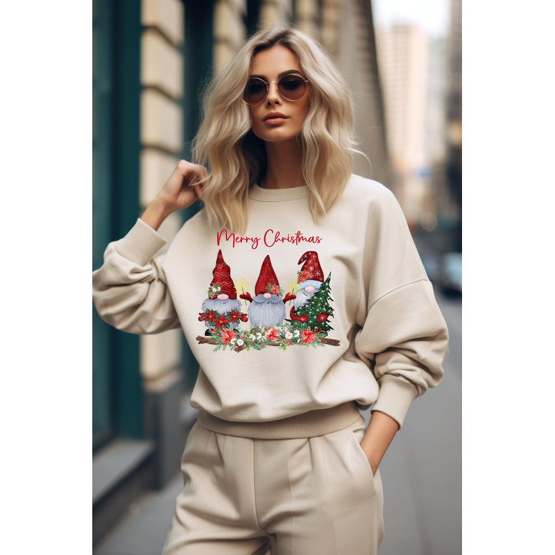 Merry Christmas Gnomes Sweatshirt, Christmas Gift Shirt, Winter Clothing Shirt, Holiday Shirt, Funny Christmas Tee, Christmas Family Shirt.jpg