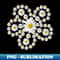 WY-12453_Daisy Blossom Floral Flower Pattern Daisies Floral 4576.jpg
