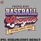 TB0707231500291-Basketball PNG Vintage Puerto Rico Baseball League.jpg