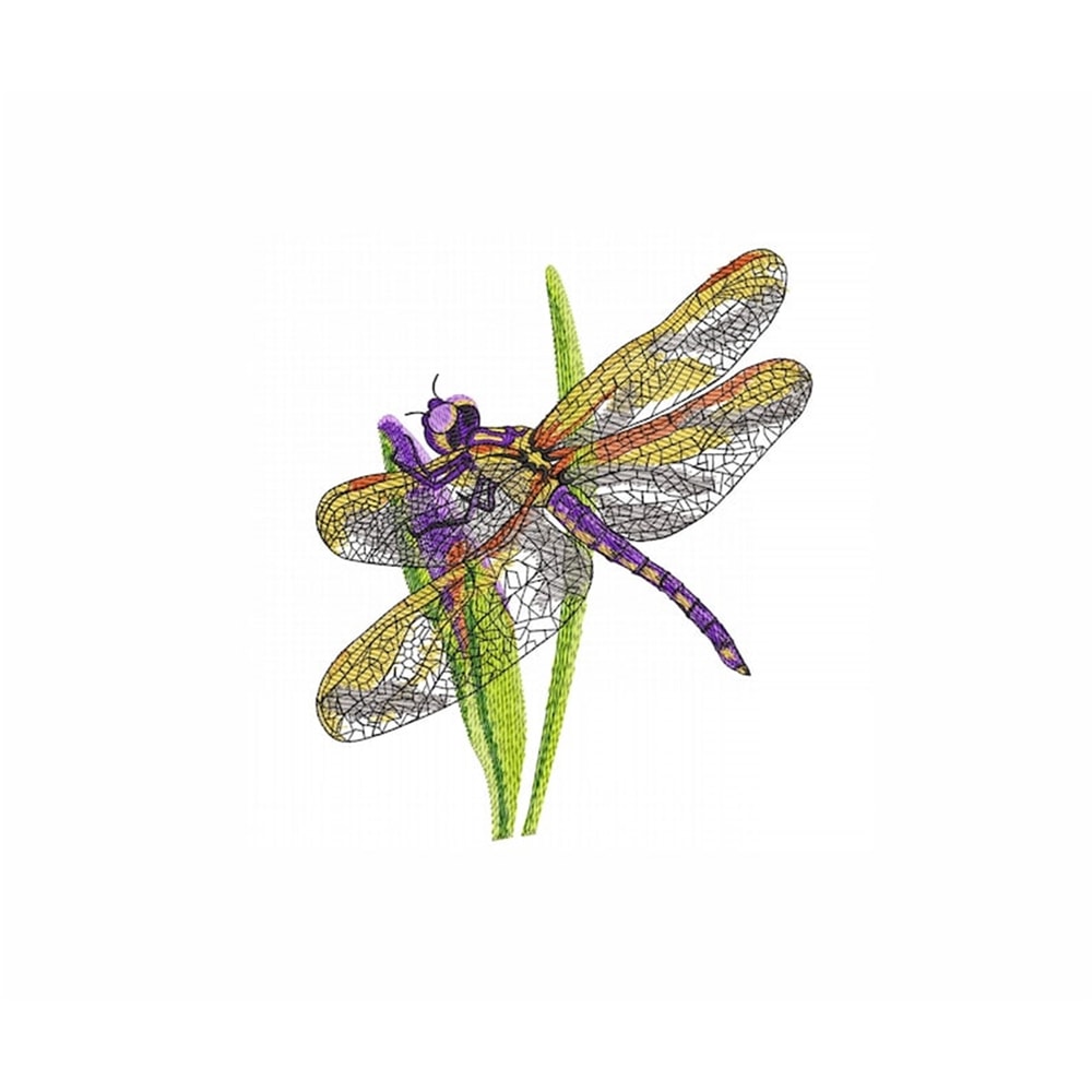 MR-27112023184511-dragonfly-machine-embroidery-design-5-sizes-insects-image-1.jpg
