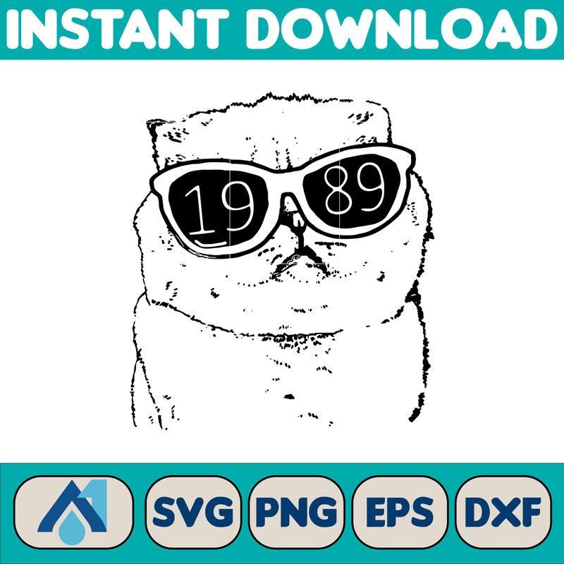 Taylor Swiftie Png, The Eras Tour PNG, Taylor Png, Taylor Swiftie Eras PNG, Eras Tour Png, Taylor Albums Png (13).jpg