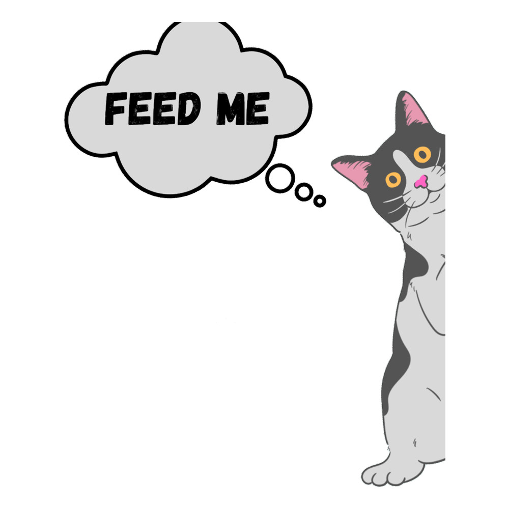 Cat miaw, feed me Active .png