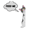 Cat miaw, feed me Active .png