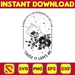 taylor swiftie png, the eras tour png, taylor png, taylor swiftie eras png, eras tour png, taylor albums png (1)