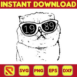 taylor swiftie png, the eras tour png, taylor png, taylor swiftie eras png, eras tour png, taylor albums png (13)