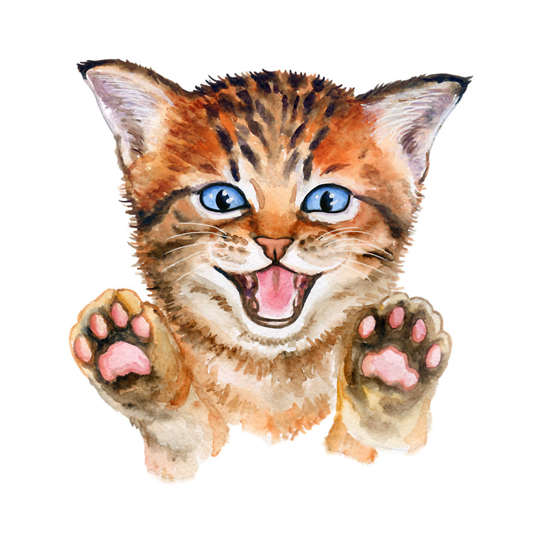 Cat miaw,cat miaw lovers,cute cat lovers (9).png