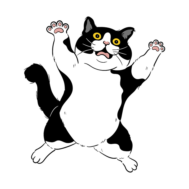 Cat miaw,cat miaw lovers,cute cat lovers (19).png