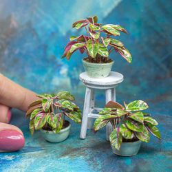 TUTORIAL miniature stromanthe plant with polymer clay | Dollhouse miniatures | Miniature plant tutorial