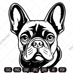 French Bulldog Svg,french Bulldog Head,french Bulldog Face,frenchie Svg,funny Dog Clipart,pet Face, Bulldog Breed ,frenc